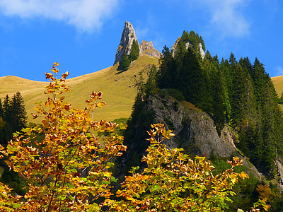 green trees on mountain under blue sky at daytime thumbnail