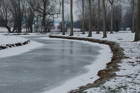 frozen river surrounded by trees during winter thumbnail