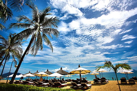 patio umbrellas under cloudy sky near beach thumbnail