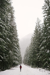 woman in red jacket walking on snow covered way surrounded by trees thumbnail