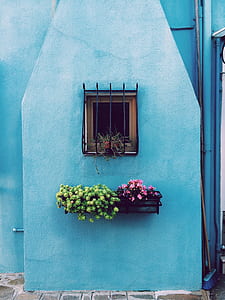 window grill above pink and green plants mounted on wall thumbnail