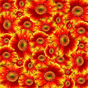 Red and Yellow Petaled Flower thumbnail