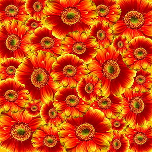 red and yellow flower lot thumbnail