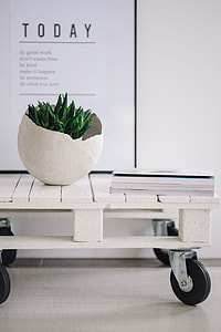 Green plant with magazines thumbnail