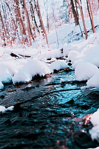 White Snow Photography thumbnail
