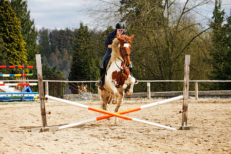 person riding horse during daytime thumbnail