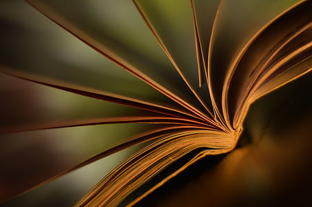 book, screen, climate, mood, range, light thumbnail