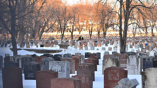 person standing on graveyard thumbnail