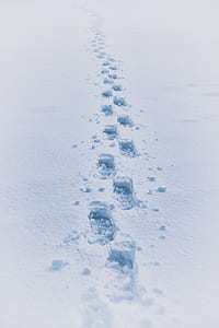 footsteps on snow thumbnail