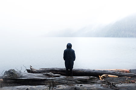 man standing near log facing beach thumbnail