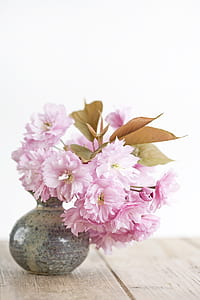 pink petaled flowers on gray-and-brown ceramic vase thumbnail