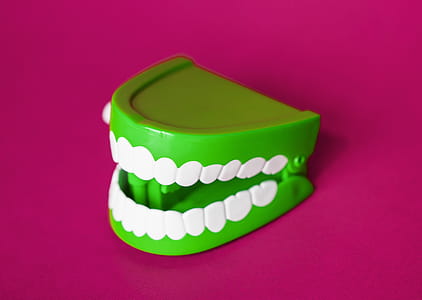 Green and White Denture Toy thumbnail