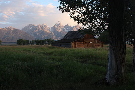 brown wooden house on grass near tree thumbnail