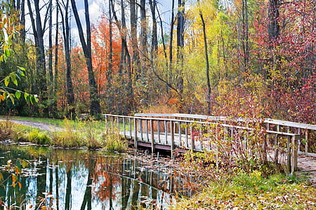 photo of beige wooden footbridge on body of water near trees and plants thumbnail