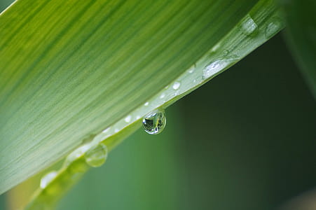 water droplet thumbnail