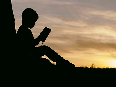 silhouette of boy reading book under tree thumbnail