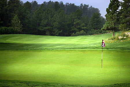 panoramic photo of green golf field thumbnail