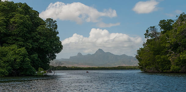 body of water between trees thumbnail