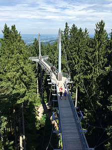 Skywalk Allgäu, Skywalk thumbnail
