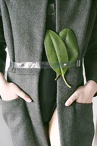 Gray Coat thumbnail