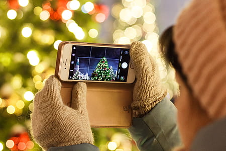 person taking picture of lighted green Christmas tree thumbnail