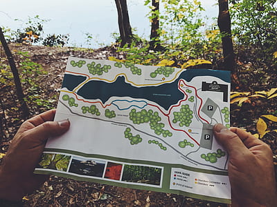 photography of white and black map thumbnail
