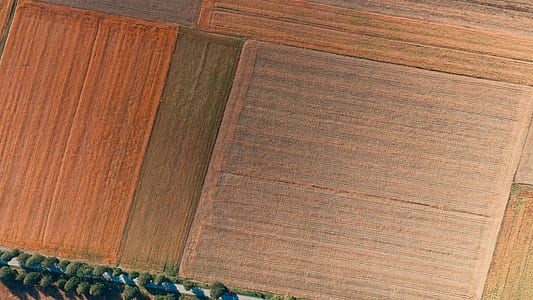field, aerial, harvested field, aerial view thumbnail