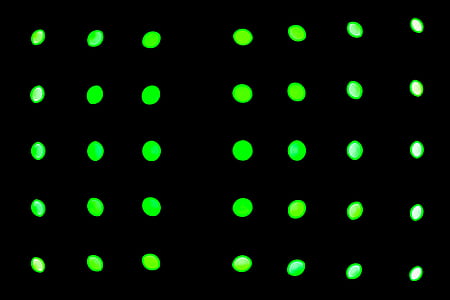 green polka-dots on black background thumbnail