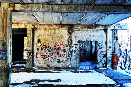 assorted-color wall graffitis thumbnail
