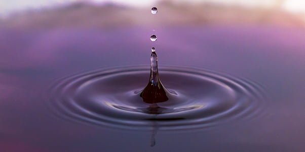 time-lapse photography of water drop thumbnail