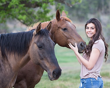 woman holding head of brown horse on field during daytime thumbnail