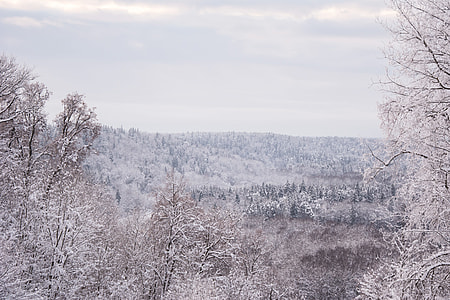 Winter snowy lanscape thumbnail