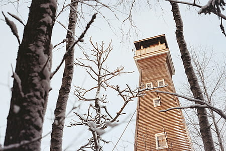 worm's eye view of wooden watch tower during daytime thumbnail