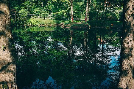 Pond thumbnail