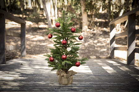 green Christmas tree with red baubles on gray wooden bridge at daytime thumbnail