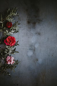 red flowers thumbnail