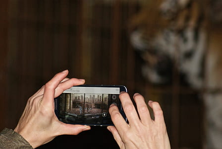 person using black Android smartphone on taking a photo thumbnail