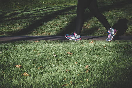 woman walking beside grasses during daytime thumbnail