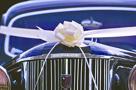 closeup photography of classic black V8 Pilot car with ribbot at daytime thumbnail