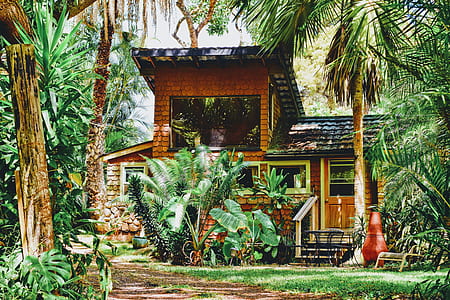 brown wooden house surrounded green trees and plants thumbnail