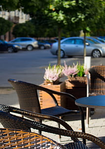 cars, road, vehicles, trees thumbnail