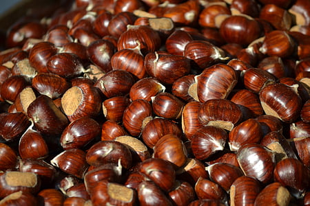 closeup photo of nuts thumbnail