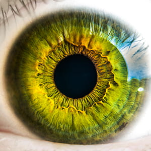 eye, security, human, unique thumbnail