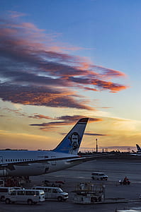 white commercial plane on airport thumbnail