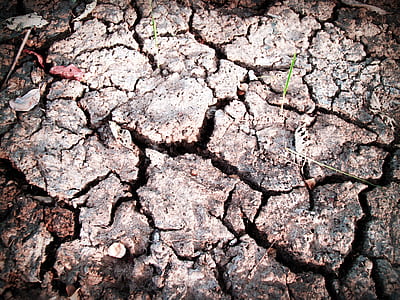 landscape, earth, dry, pattern thumbnail