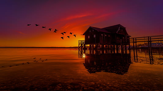 silhouette of house during sunset thumbnail