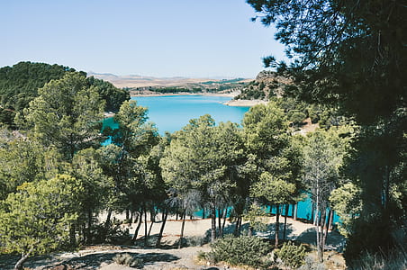 Green Trees With Blue Water Under the Blu Sky thumbnail