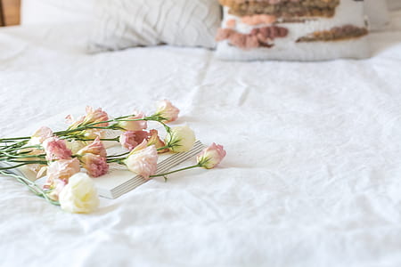 wood, love, romantic, flowers thumbnail