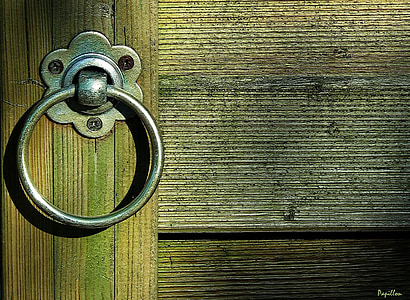 gray wooden door with door knocker thumbnail