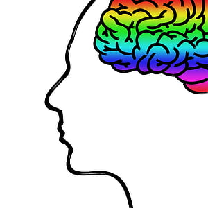 illustration of person with multicolored brain thumbnail